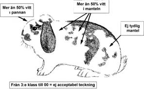 mantelteck5mindre